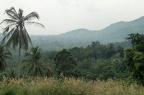 Kho Samui